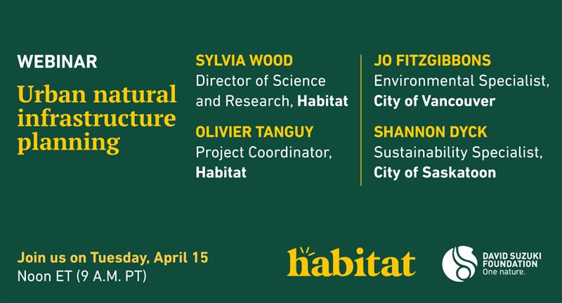 Urban natural infrastructure planning