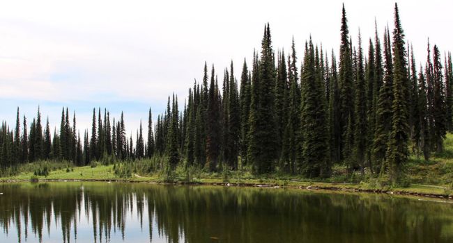 Canadian landscape. 