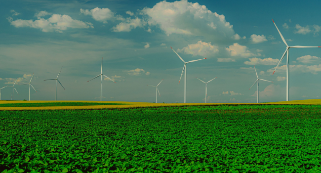 Wind turbine in a field.